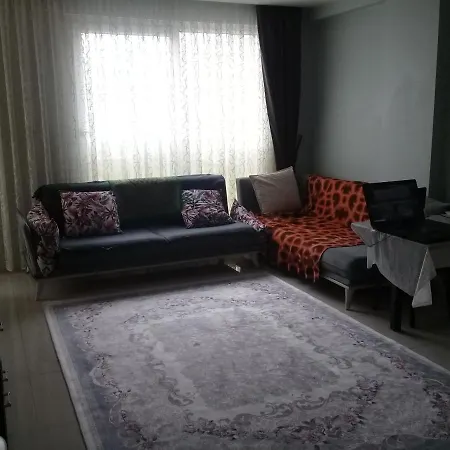 квартира 1+1 Apartment